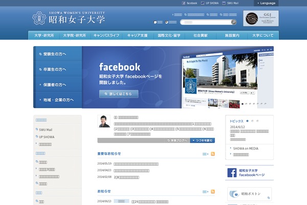parent theme websites examples