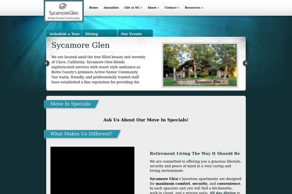 Site using Divi-accessibility-master plugin