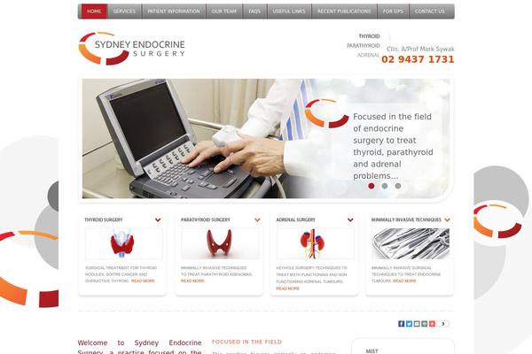 Standard-theme theme site design template sample
