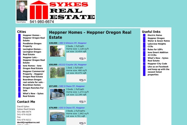 Twenty Sixteen theme site design template sample
