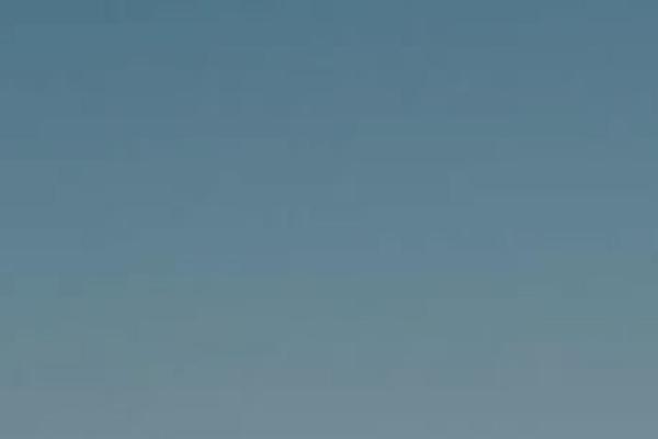 Oshine theme site design template sample