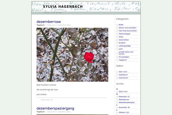 Iconic One theme site design template sample
