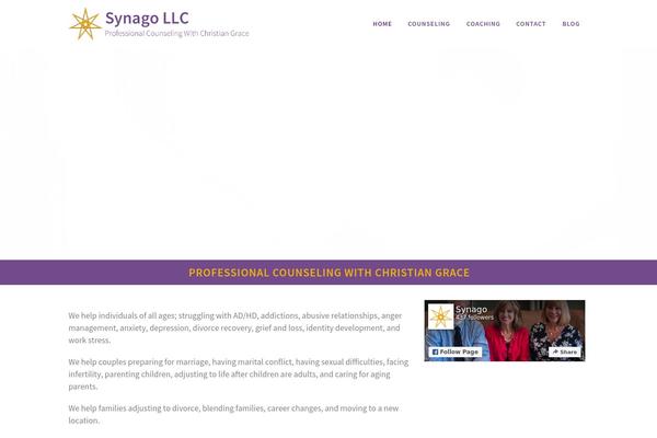 Bridge theme site design template sample