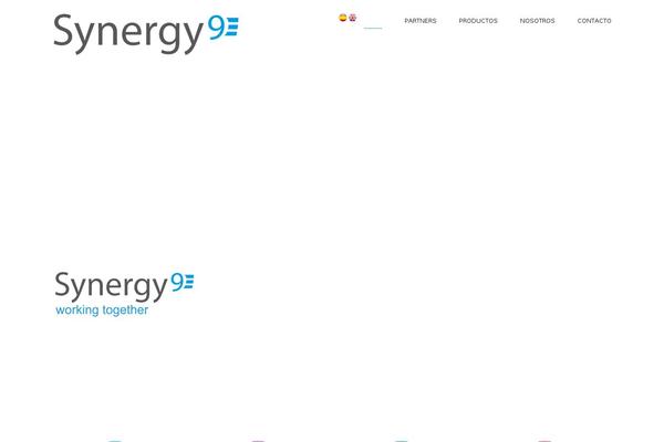 synergy9.net site used Theme54936