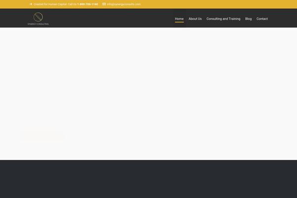 synergyconsults.com site used Highend
