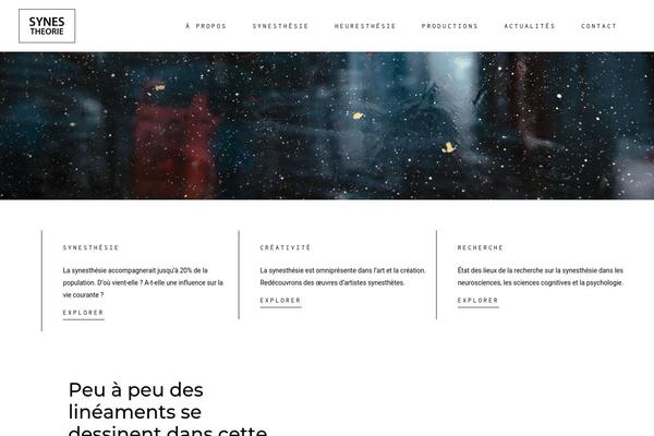 Amedeo theme site design template sample