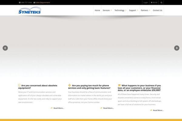 syneteks.com site used PRO Business