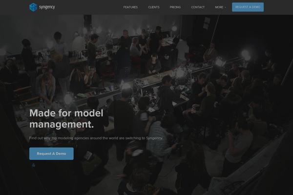 syngency.com site used Syngency