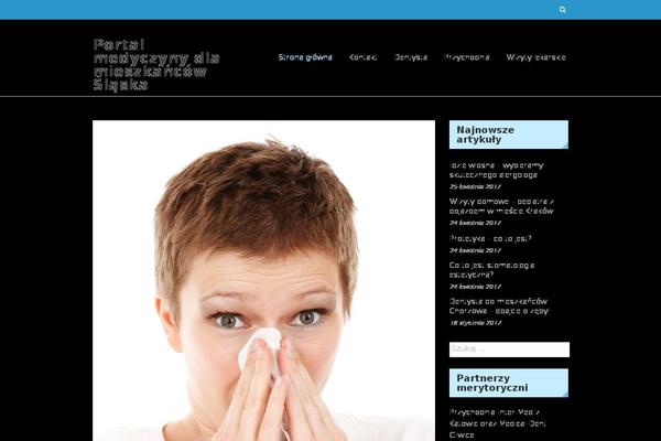 sysday.pl site used Eightmedi Lite
