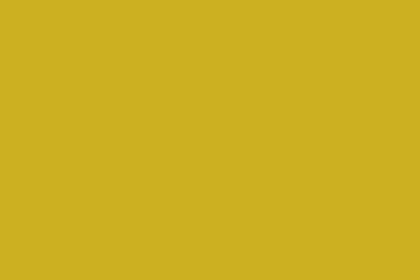 Site using Monarch plugin