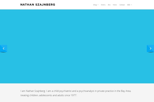 Salient theme site design template sample