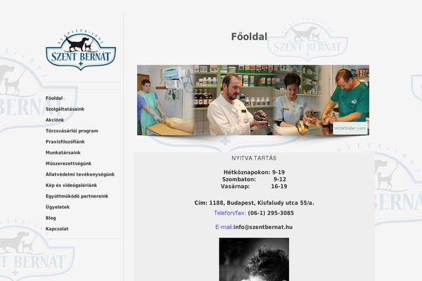 Site using Divi-testimonial-slider plugin