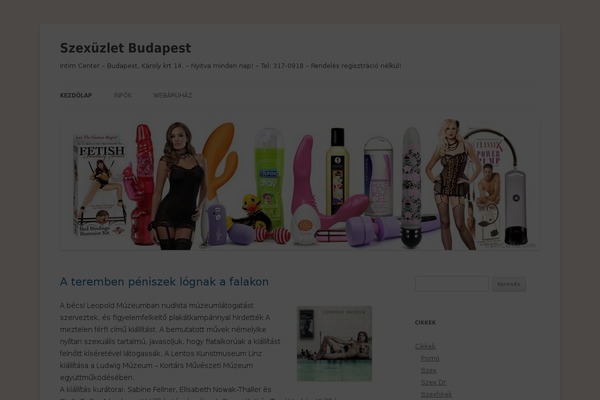 szexuzlet.com site used Dimme-jour