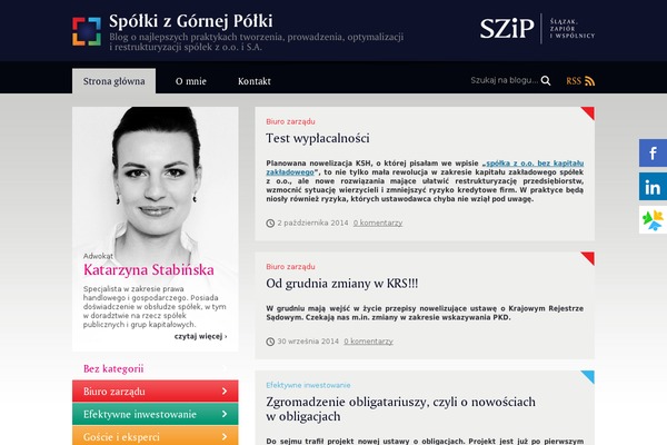 Site using SVG Support plugin