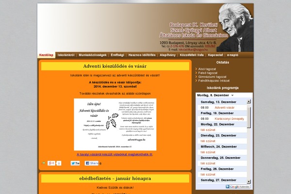 Kingster theme site design template sample