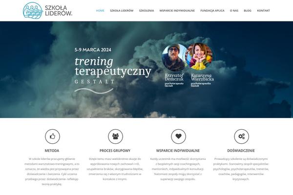 Furion theme site design template sample