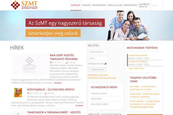 bord theme websites examples