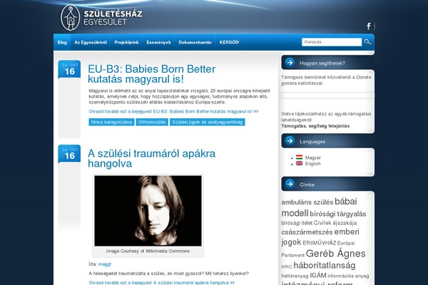 Happy-baby theme site design template sample