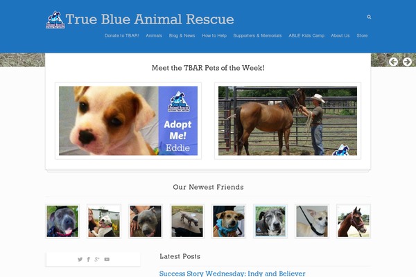 Site using Petfinder Listings plugin