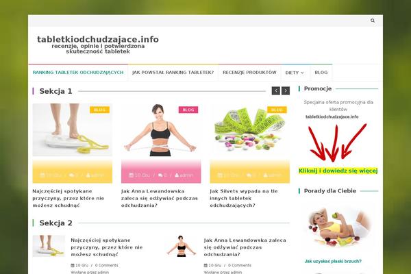 Magazine-palace theme site design template sample