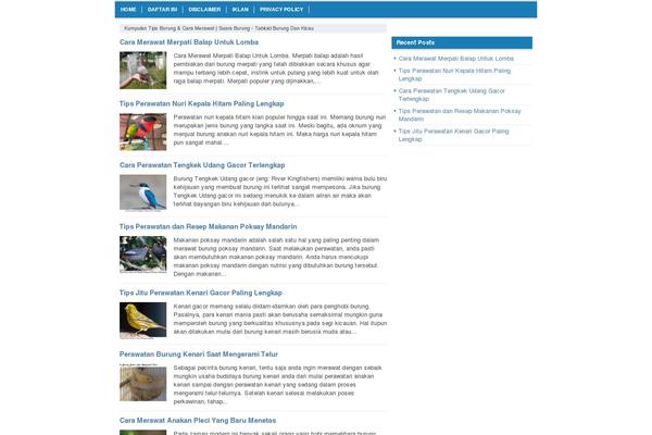 Nyeo theme site design template sample