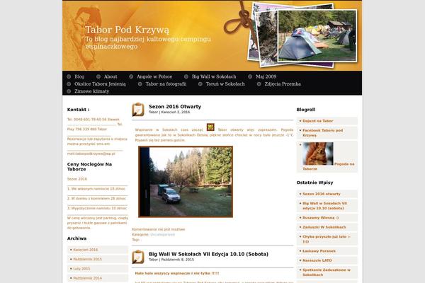 taborpodkrzywa.pl site used Seo4