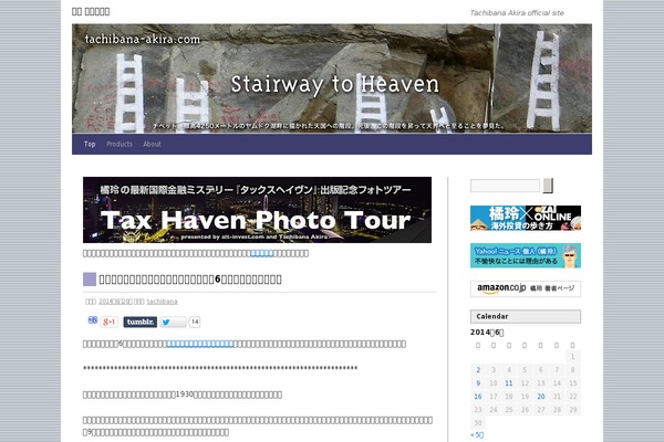 First theme site design template sample