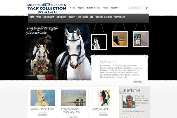 Site using WP Slimstat plugin