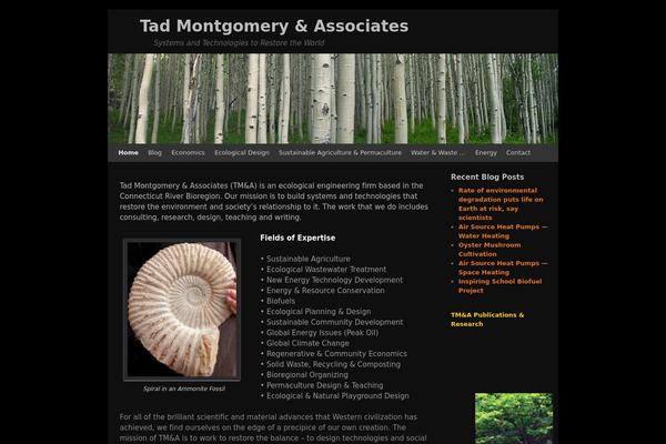 Twenty Ten theme site design template sample