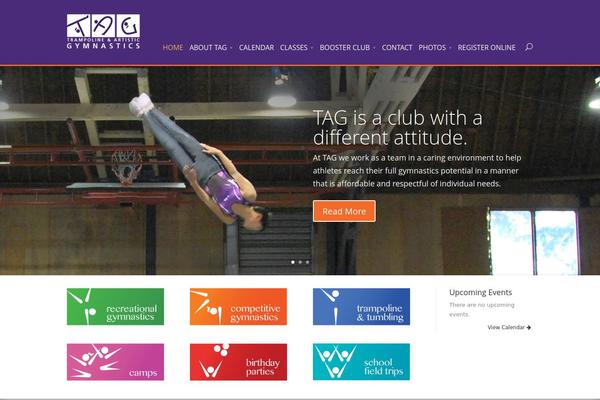 Divi Child theme site design template sample