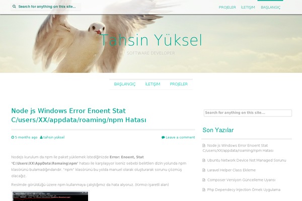 Preus theme site design template sample