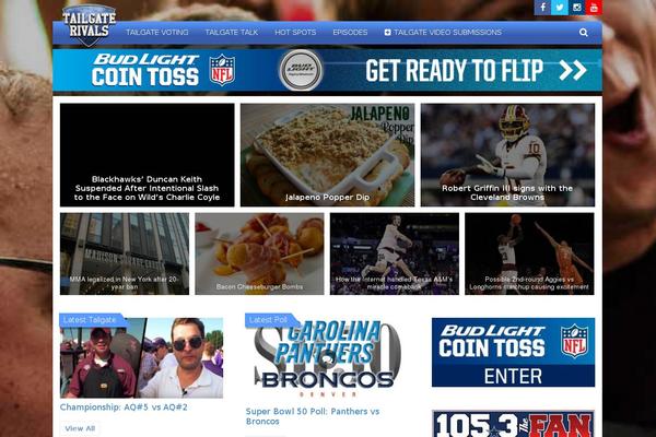 IMS-child theme websites examples