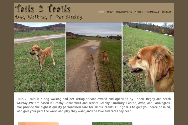 Magnum theme site design template sample