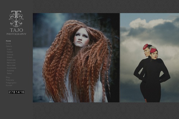 Site using Photection plugin