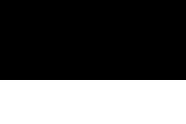 Site using Net-concept-rgpd plugin