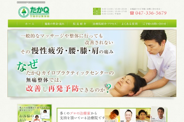 tmp2_pc theme websites examples