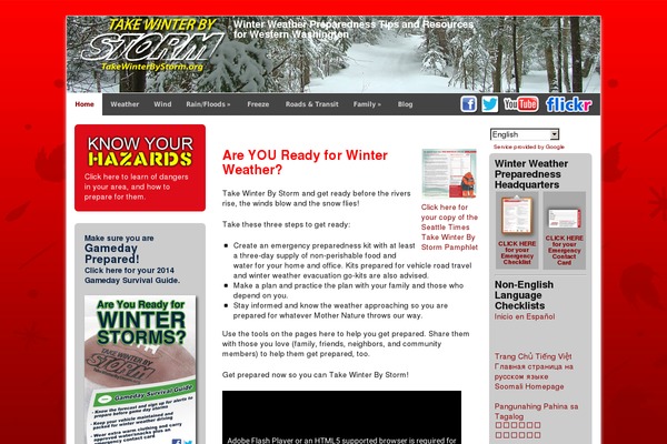 Ignition theme site design template sample