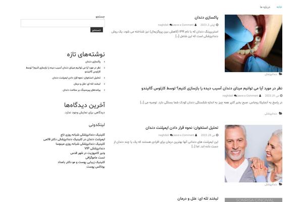 Flash theme site design template sample
