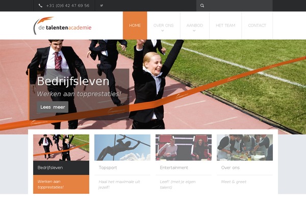 Stuurlui theme site design template sample