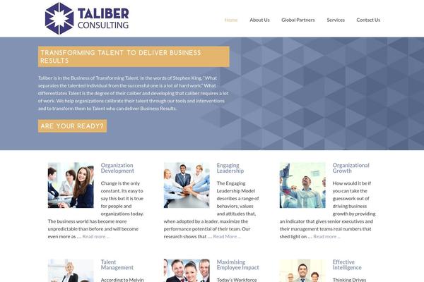 Consulting theme site design template sample