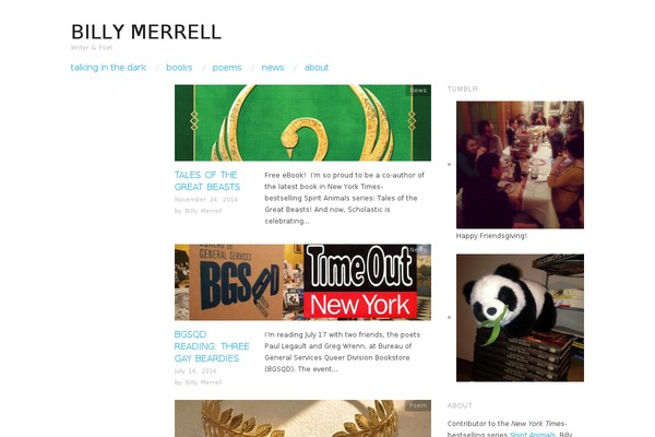 Site using Instagram Widget by WPZOOM plugin