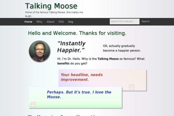 Dynamik Gen theme site design template sample