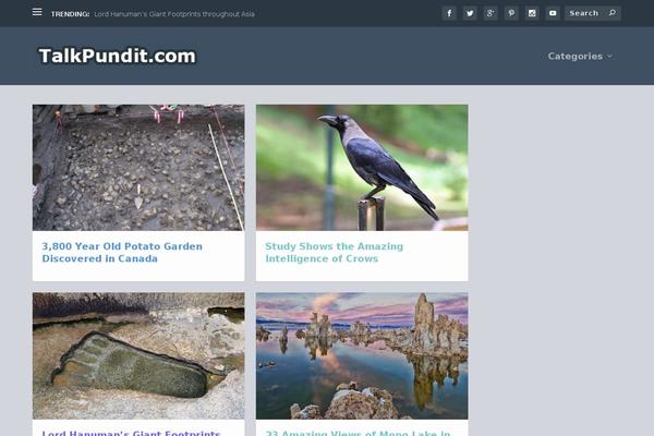 Extra theme site design template sample