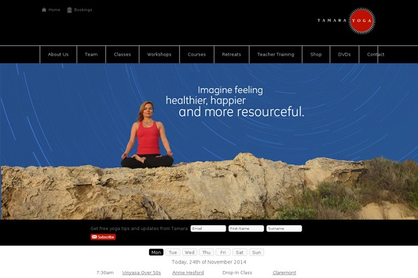 Site using Megamenu-pro plugin