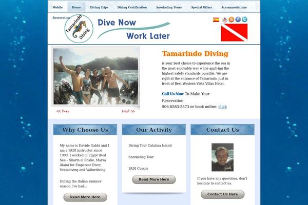 Dentist theme websites examples