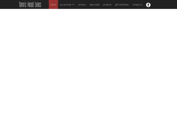 Site using Accesspress-social-icons-pro plugin