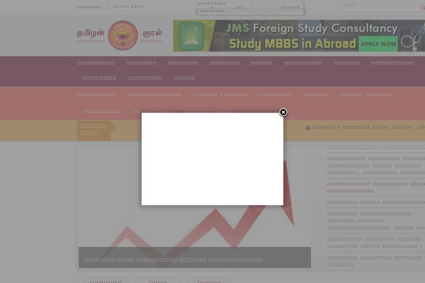 News Live theme site design template sample