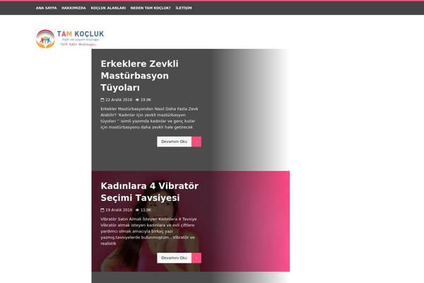 AlYoum theme site design template sample