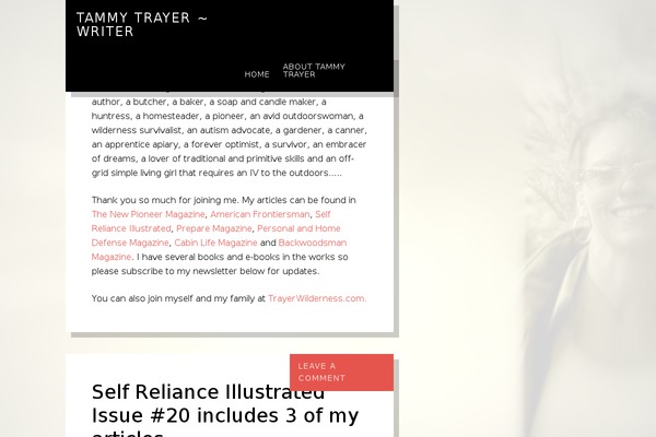 Site using Meks Easy Ads Widget plugin