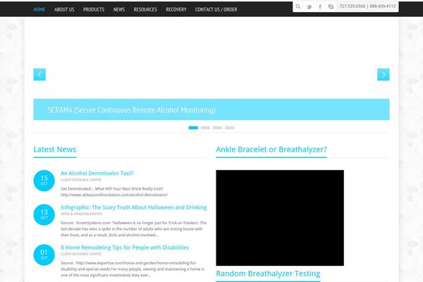 The7 Child theme site design template sample